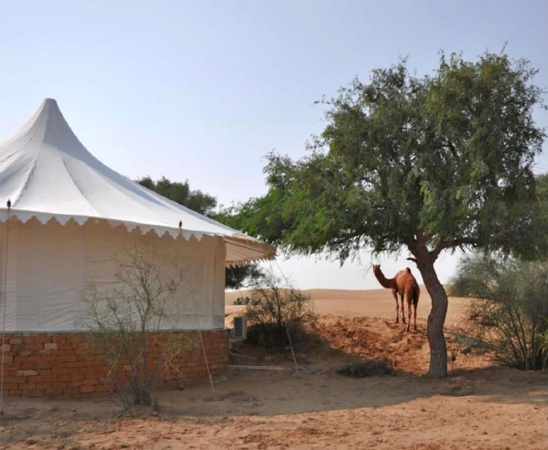 Wild Heritage Desert Camp Hotell Jaisalmer Eksteriør bilde
